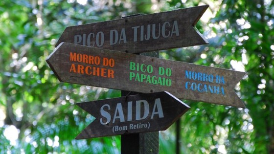 Floresta da Tijuca